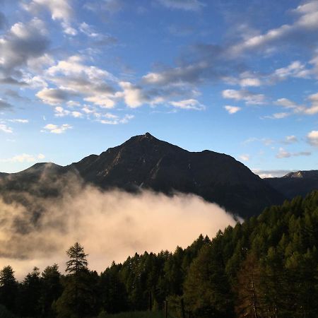 Bed and Breakfast Alp Es-Cha Dadour Madulain Zewnętrze zdjęcie