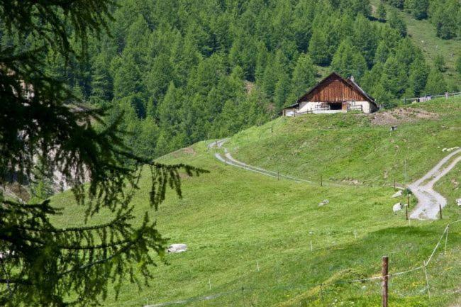 Bed and Breakfast Alp Es-Cha Dadour Madulain Zewnętrze zdjęcie